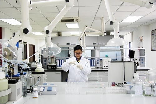 國家企業(yè)技術(shù)中心2021年評價結(jié)果揭曉 徐工高居行業(yè)榜首 彰顯創(chuàng)新硬實力